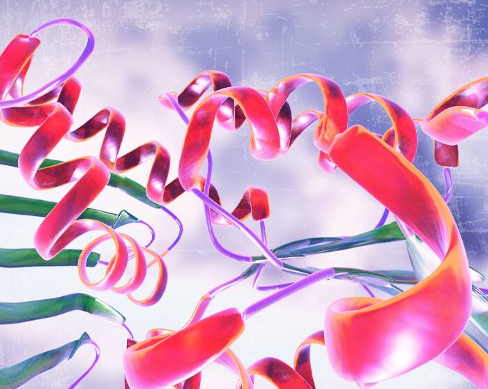 Free Protein A ELISA Kit Free Protein A ELISA Kit