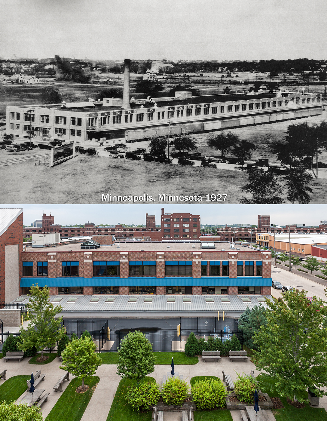 Company History BioTechne