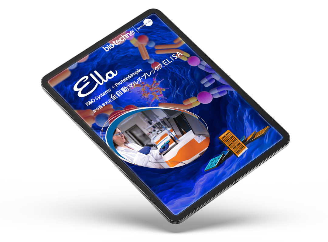 Ella brochure thumbnail