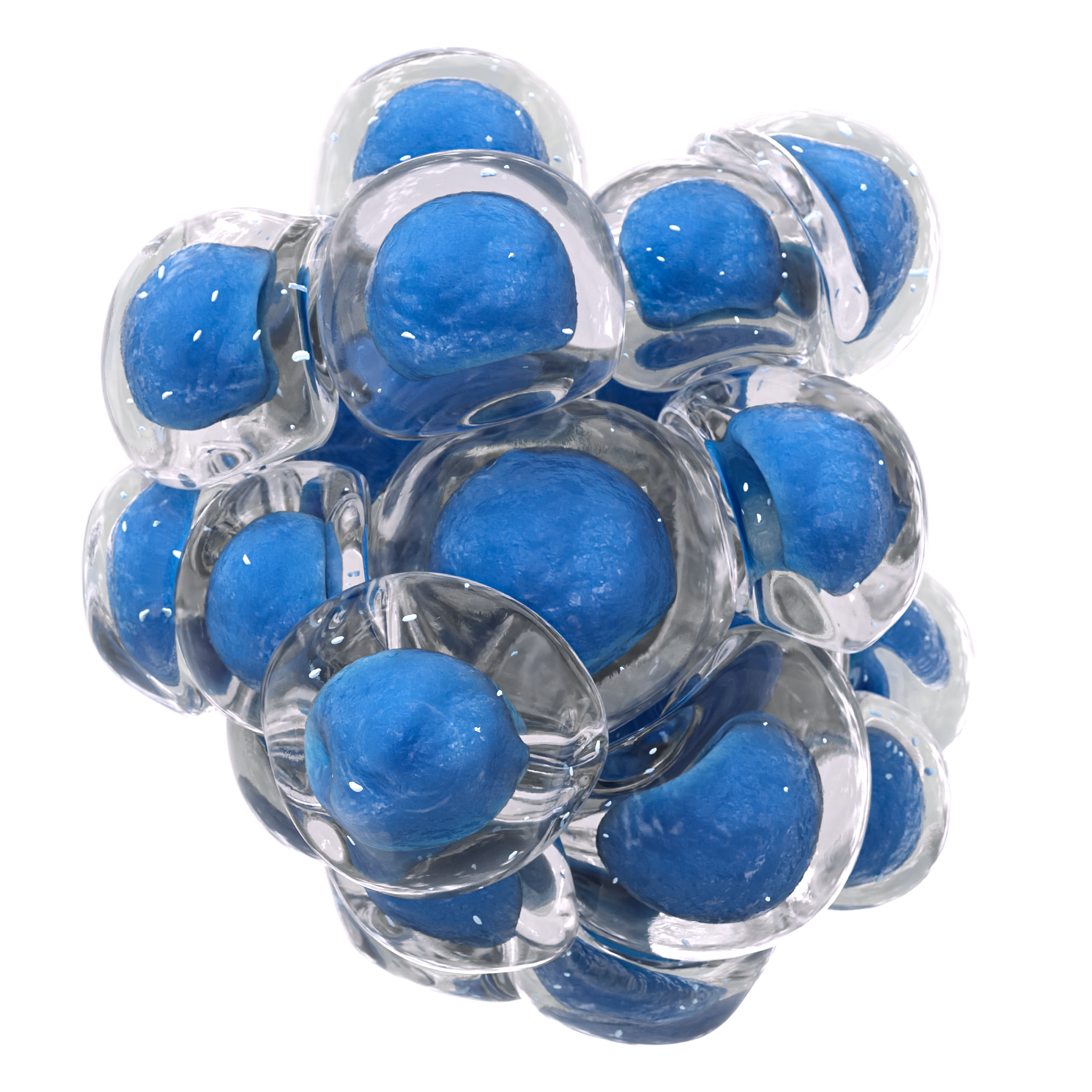 Stem Cell Cluster