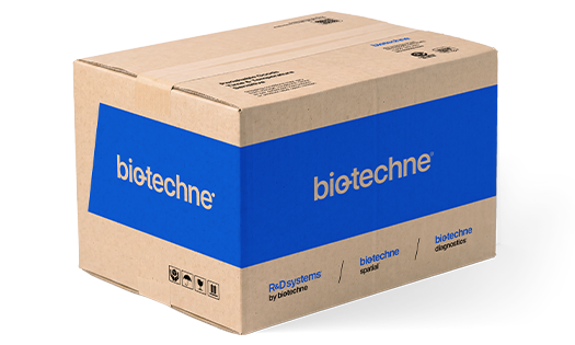 Outer Shipper Box