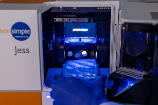 Jess Automated Western Blot