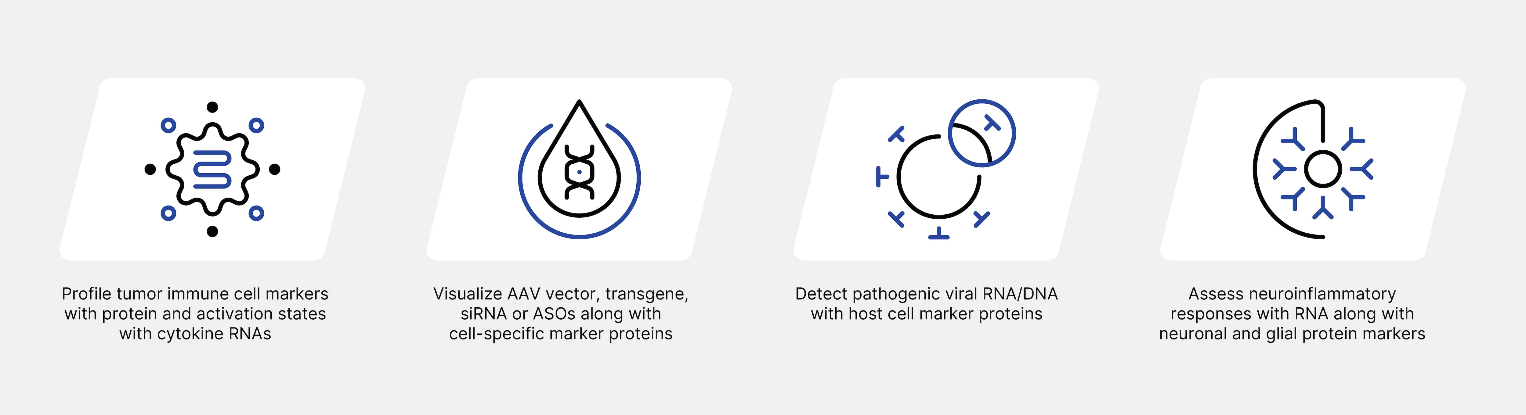 Applications of RNA Protein Detection