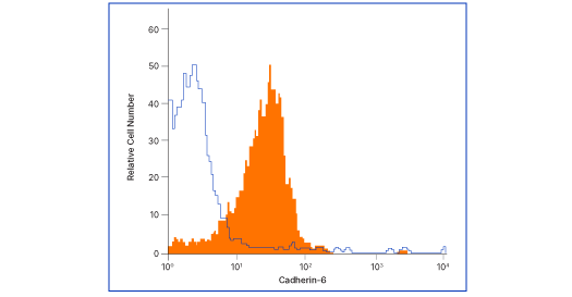 Flow analysis of MG‑63 human osteo­sarcoma cells with Cadherin‑6 antibody (MAB2715, filled histogram) or isotype control (# MAB002, open histogram), followed by Allophycocyanin-conjugated anti-mouse IgG F(ab')2 secondary antibody (# F0101B).