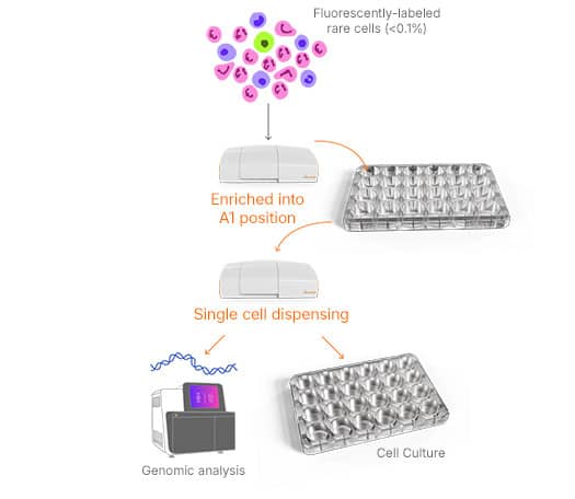 Enrichment Cell Sorting Figure