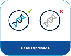 Visualize single cell gene expression with RNAscope 