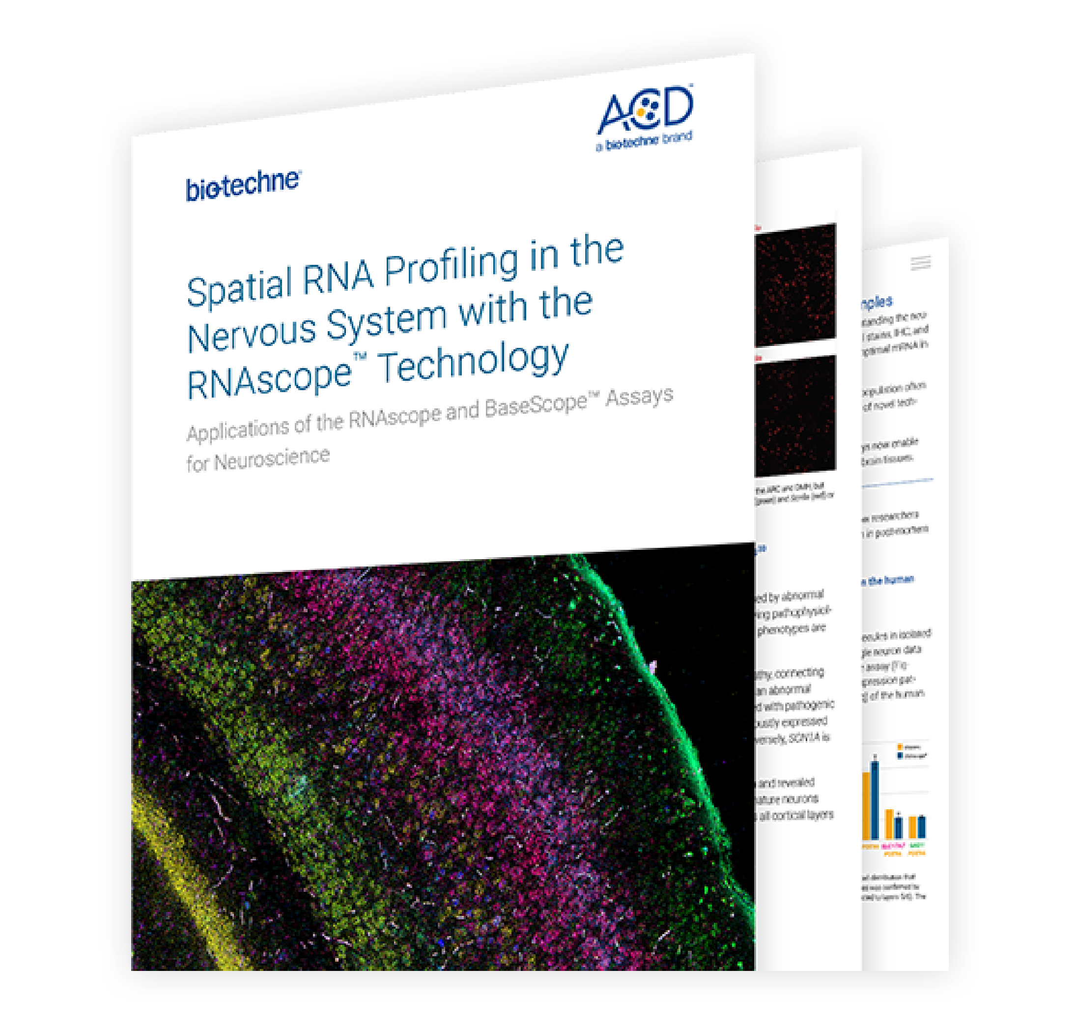 Spatial RNA App Note thumb