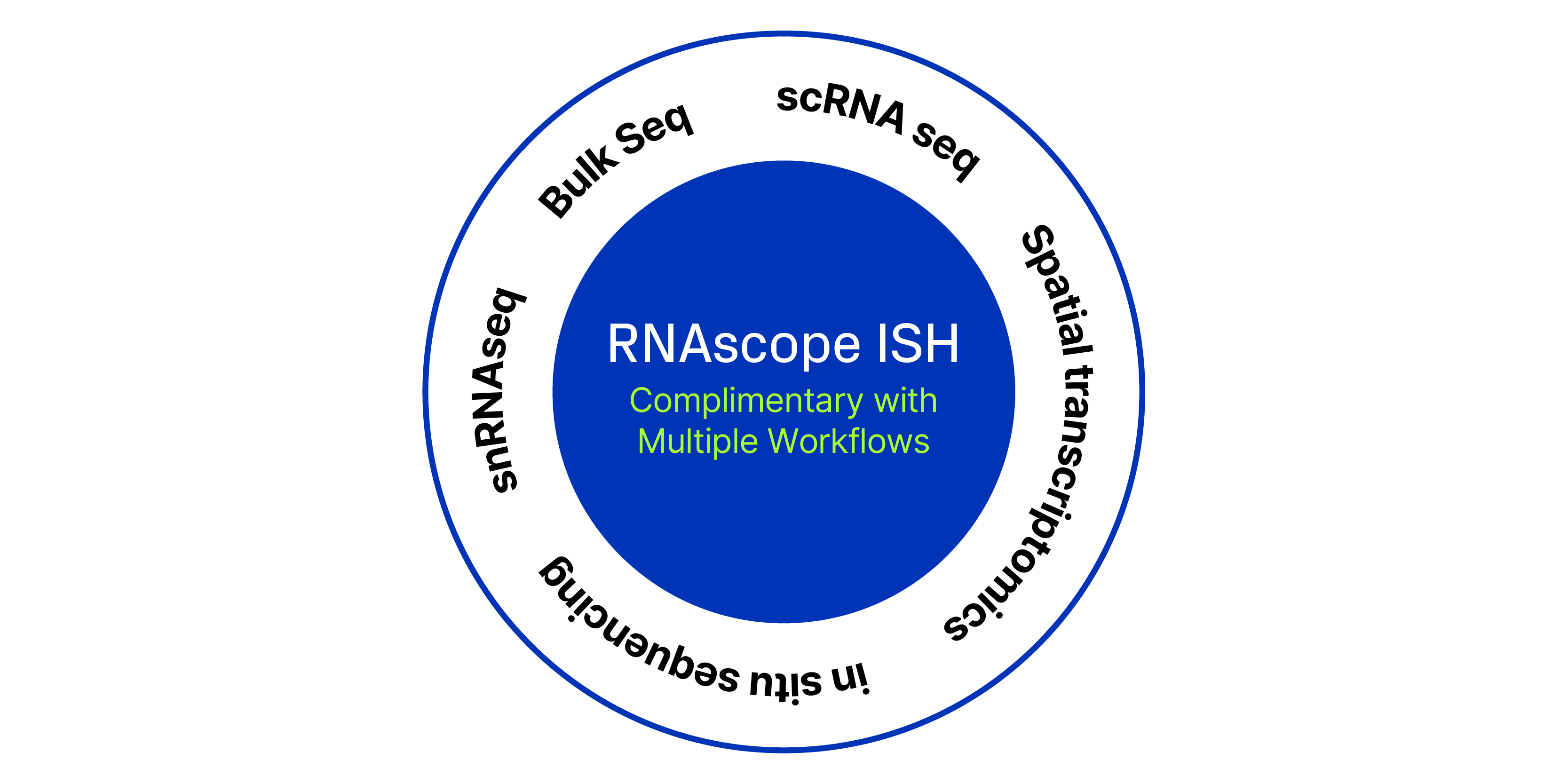 Single Cell Transcriptomics