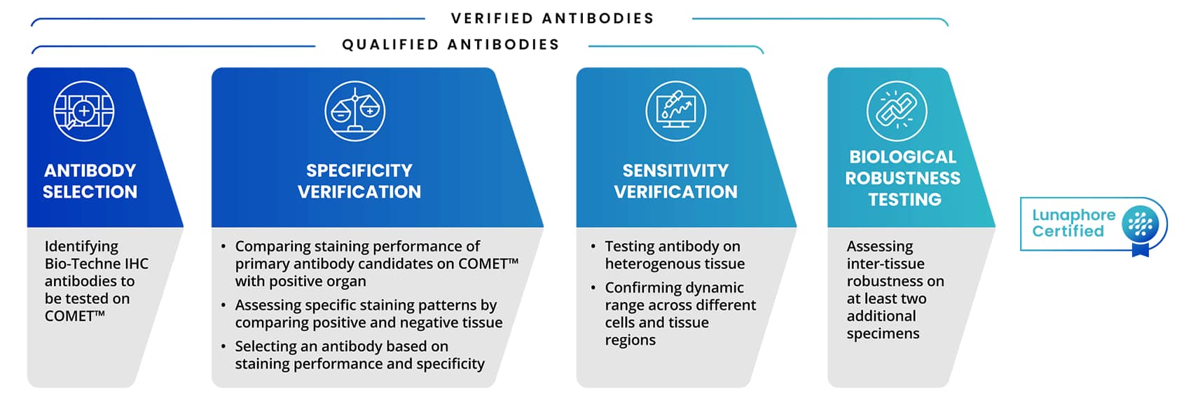 Illustration showing antibody testing process for mIF on COMET with descriptions of antibody sensitivity and specificity