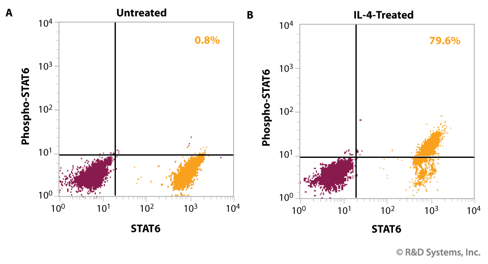  Detection of IL-4-induced STAT6 Phosphorylation by Intracellular Flow Cytometry