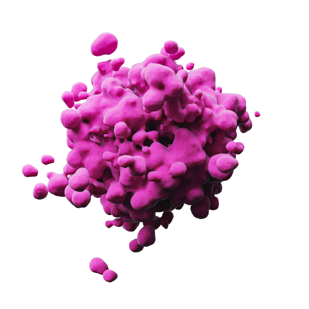 Image of cell undergoing apoptosis, a form of regulated cell death