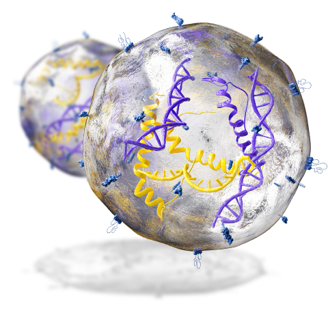 Exosomes