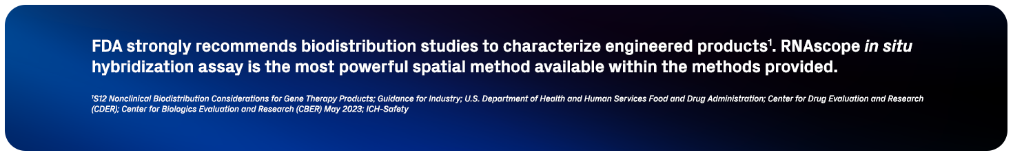 FDA strongly recommends biodistribution studies to characterize engineered products (1). RNAscope in situ hybridization assay is the most powerful spatial method available within the methods provided.