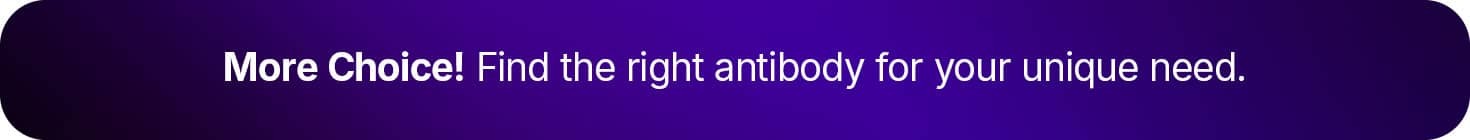 Antibody Pillar Page Banner