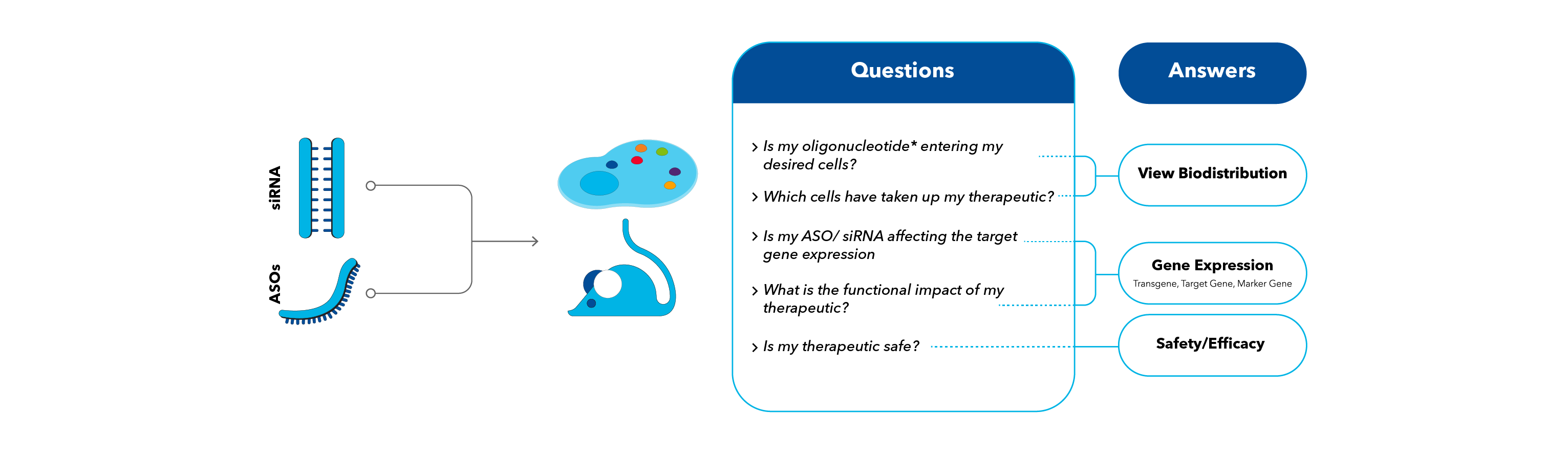 Questions for Your Oligonucleotide-Based Studies