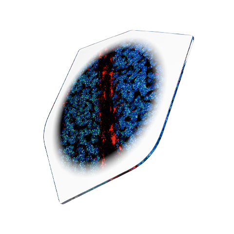 rnascope-shield-probe-menu-expansion