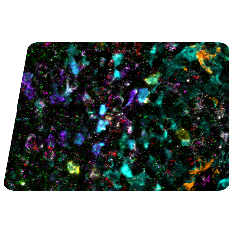 SBD hero foreground Protein mRNA