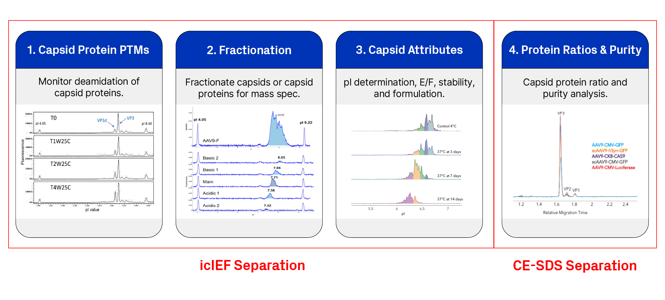 AAV capsid characterization pairing MauriceFlex with other charge variant characterizing techniques