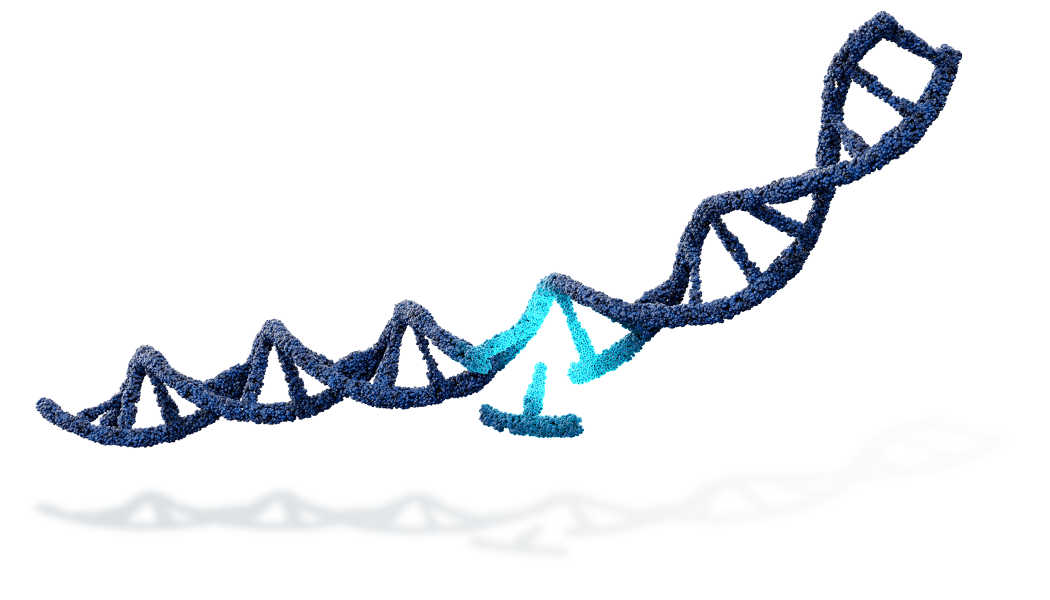 DNA