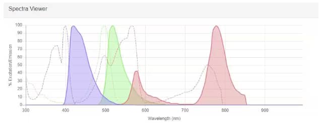 Examples showing a readout with three different fluorophores on Novus Spectra Viewer.