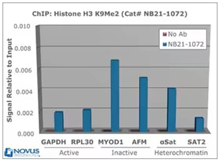 Chromatin Immunoprecipitation (ChIP) analysis of Rabbit Anti-Histone H3 [Dimethyl Lys9] used to IP chromatin from Hela cells and compared to a no antibody control. Target gene immunoprecipitated DNA gene expression was measured using qRT-PCR and SYBR gree