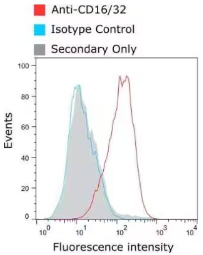 CD16/CD32 expression in murine bone marrow-derived macrophages, Flow Cytometry