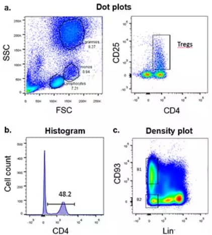 FSC/SSC plot of human whole blood, CD4, CD25 and CD93