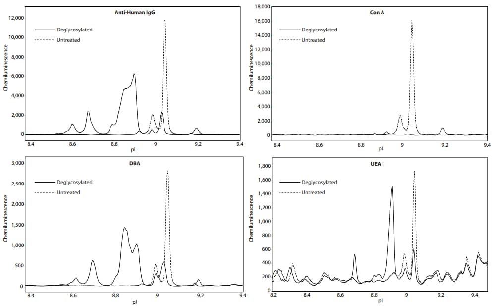 Deglycosylation treatment versus no treatment of NIST mAb