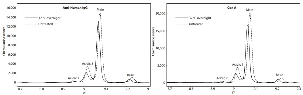 Incubation of NIST mAb at 37 °C does not significantly change the charge separation or lectin binding profiles