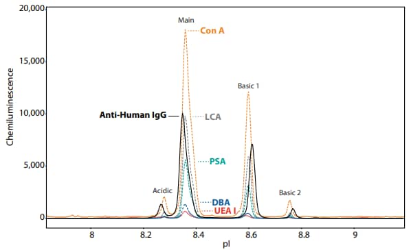 The lectin binding profiles for Humira show varying distributions for high mannose and fucose in separated peaks