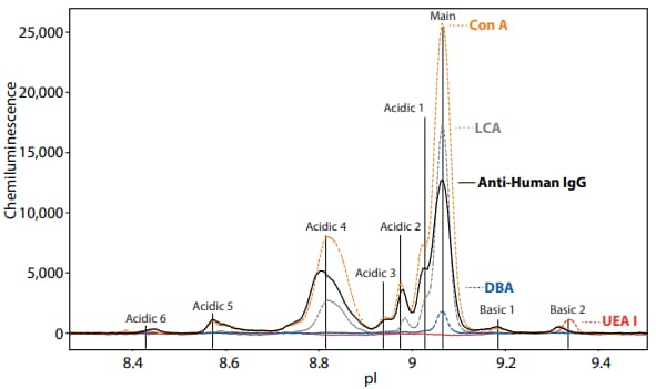 The lectin binding profile for Herceptin