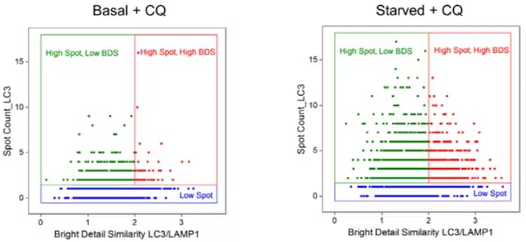 Multispectral imaging flow cytometry analysis of Jurkat cells under basal or starved conditions treated with Chloroquine modified from Pugsley et al. 2017