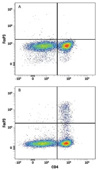 Flow Cytometry analysis of human PBMCs stimulated with recombinant human TGF-beta 1 protein and recombinant human IL-2 protein stained with Anti-FoxP3 Antibody followed by PE-conjugated Anti-IgG Secondary Antibody and APC-conjugated Anti-CD4 Antibody.