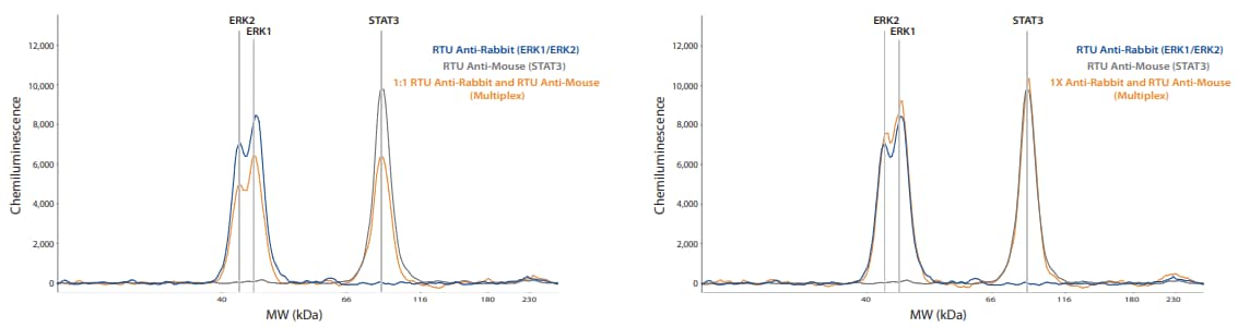 Multiplexing proteins using primary antibodies from different host species resulted in a significant decrease when mixing RTU secondary antibodies 1:1