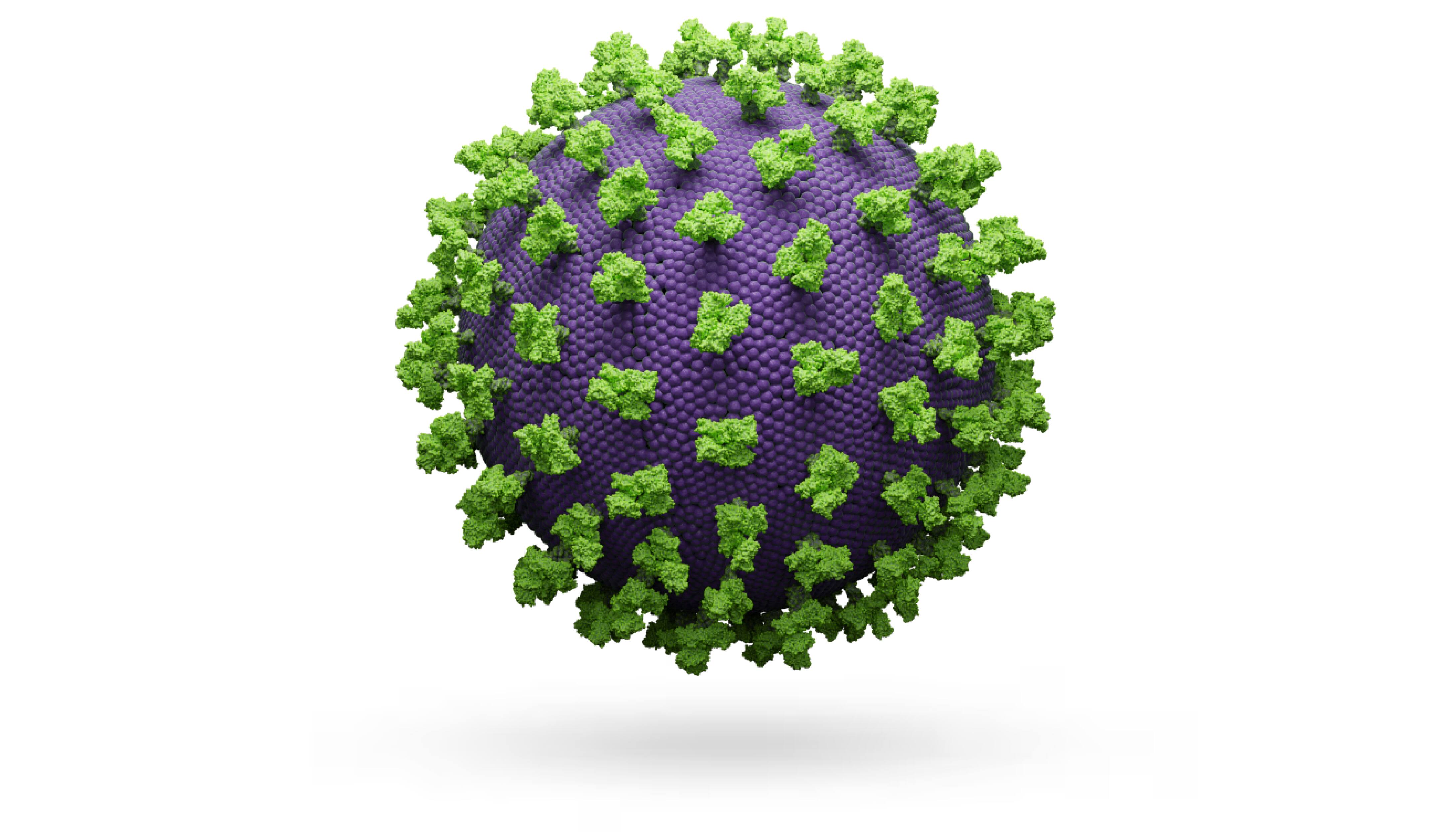 Lentivirus cell