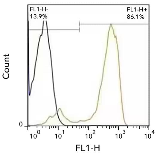 Flow cytometry showing detection of CD3 in hPBMc's with cells stained with CD3 conjugated to AF488 (orange) and mIgG2 (AF488 conjugate) isotype control (blue).