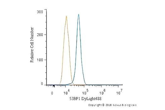 Flow Cytometry analysis of intracellular staining with DyLight 488-conjugated 53BP1 antibody (blue line) in Neuro2A cells with matched isotype control (orange line).