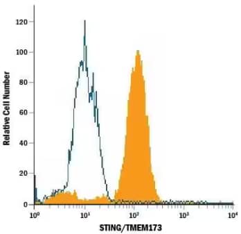 STING antibody