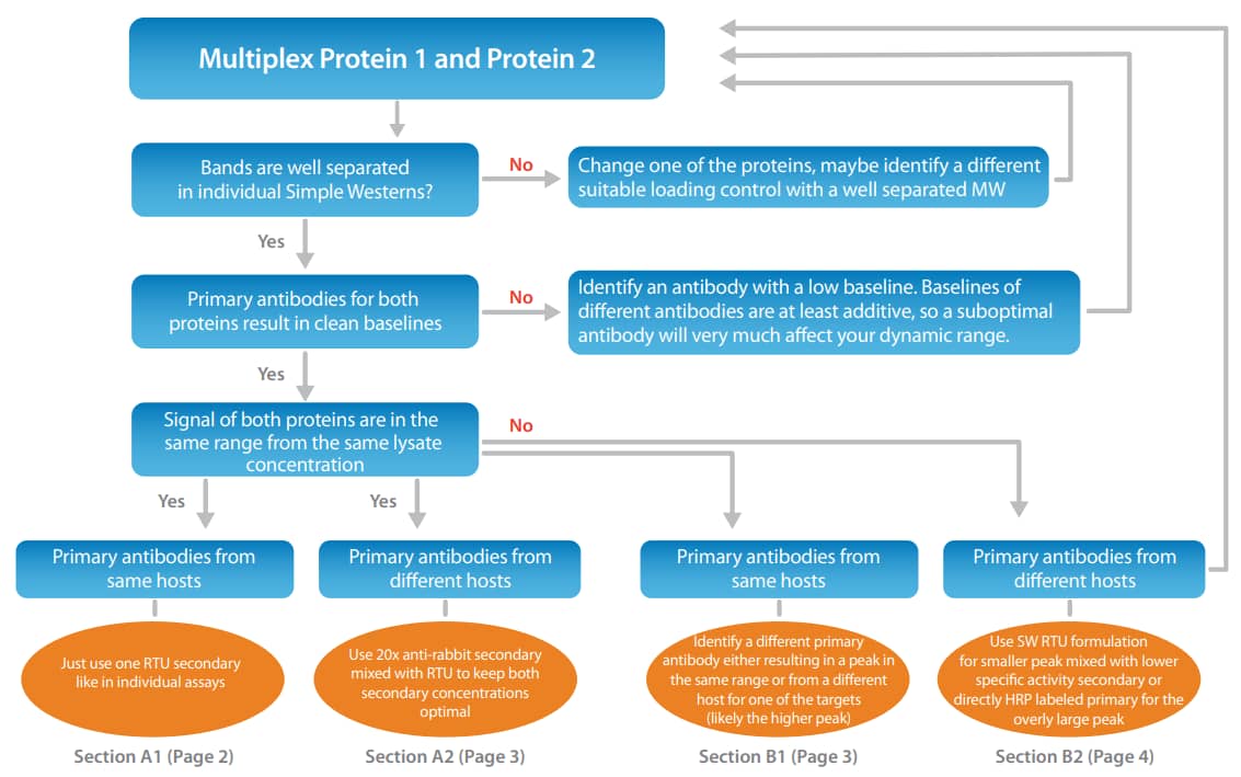 Multiplexing Protein Schematic