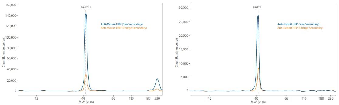 Comparison of Simple Western size and charge secondary antibodies on Wes