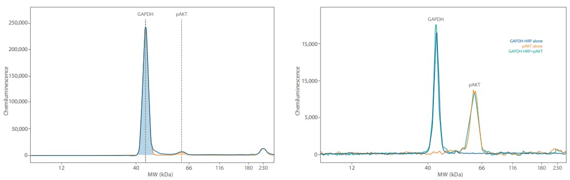 The GAPDH signal is very high when multiplexing at the lysate concentrations needed to detect pAKT and has high potential for signal saturation