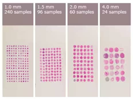 Tissue comparsion slide