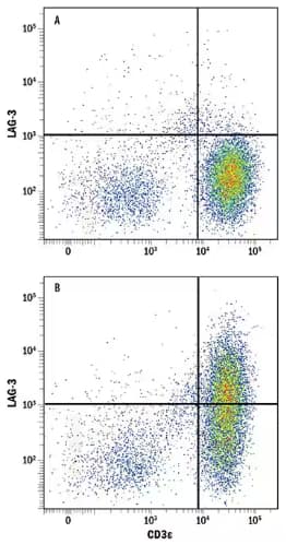 Simple Western analysis showing lysates from RAW 264.7 mouse monocyte/macrophage cell line untreated or treated with LPS and probed with Goat Anti-IL-1 beta/IL-1F2 Polyclonal Antibody, followed by HRP-conjugated IgG Secondary Antibody showing a specific b