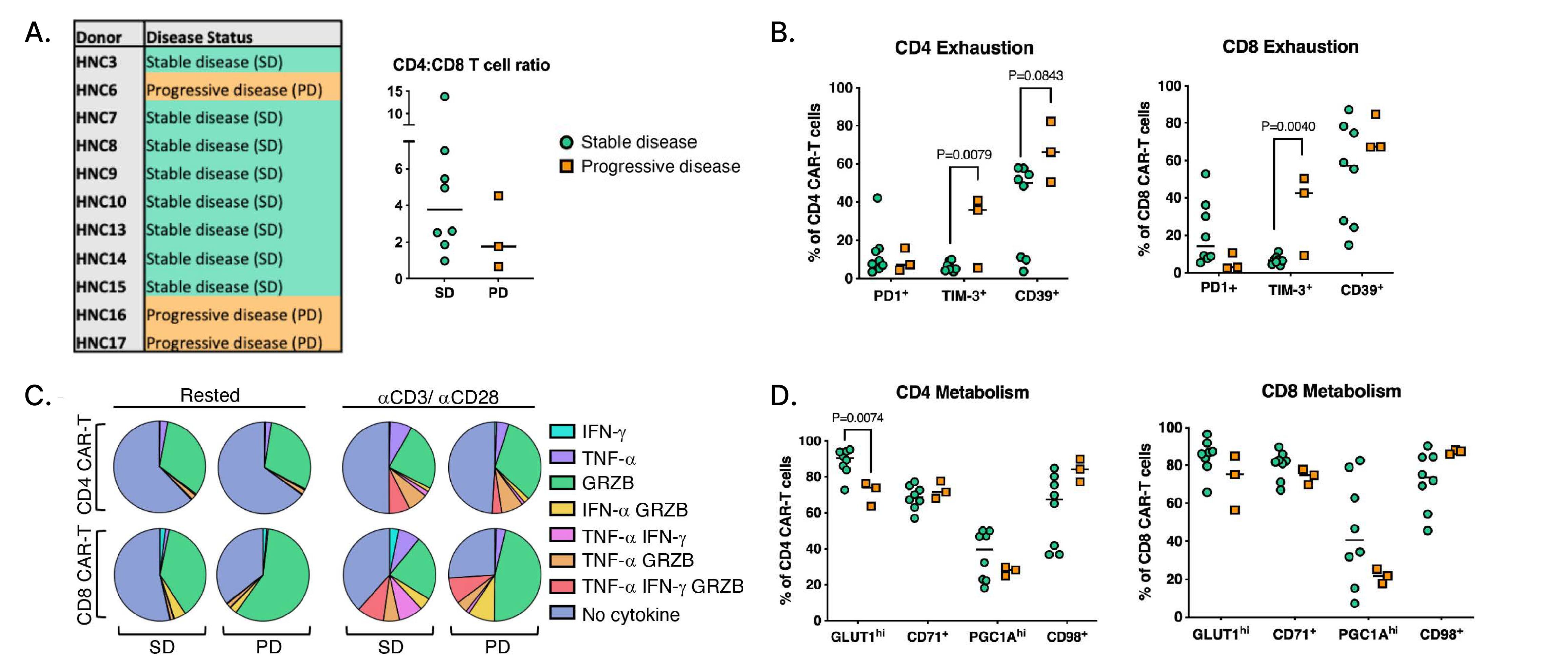 Immunophenotypic analysis of T4 CAR-T cell batches in patients