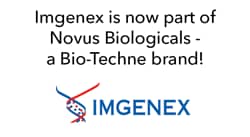 Imgenex logo is now Novus Bio - a BioTechne Brand