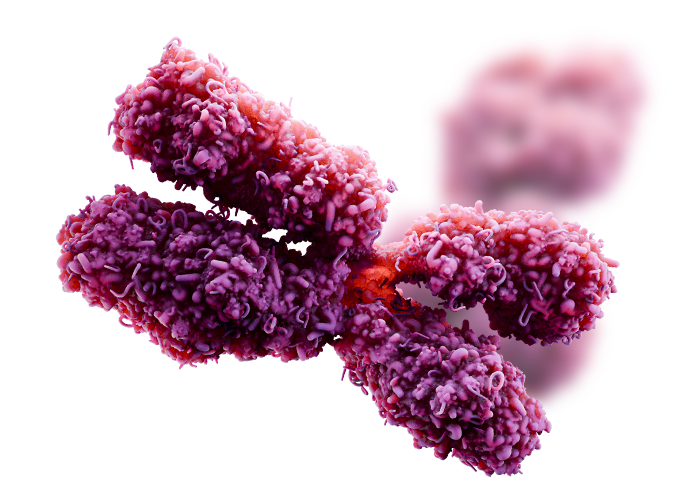 Molecular Diagnostic Solutions for Clinical & Research Laboratories