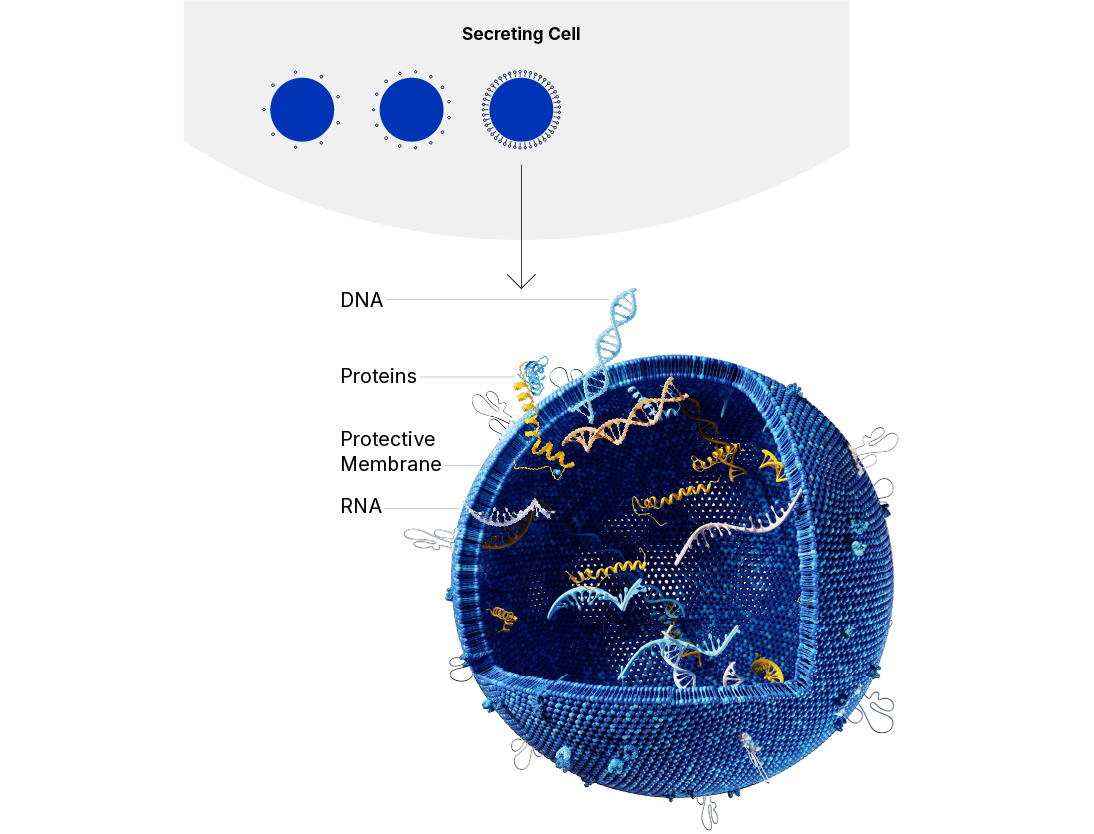 Exosome LP Diagram