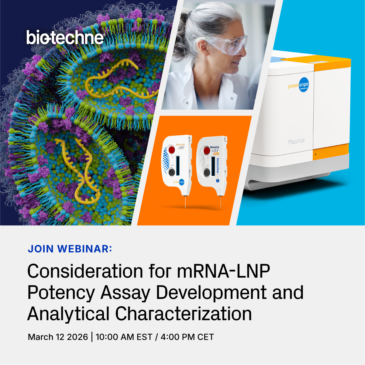 mRNA-LNP Analysis With Maurice