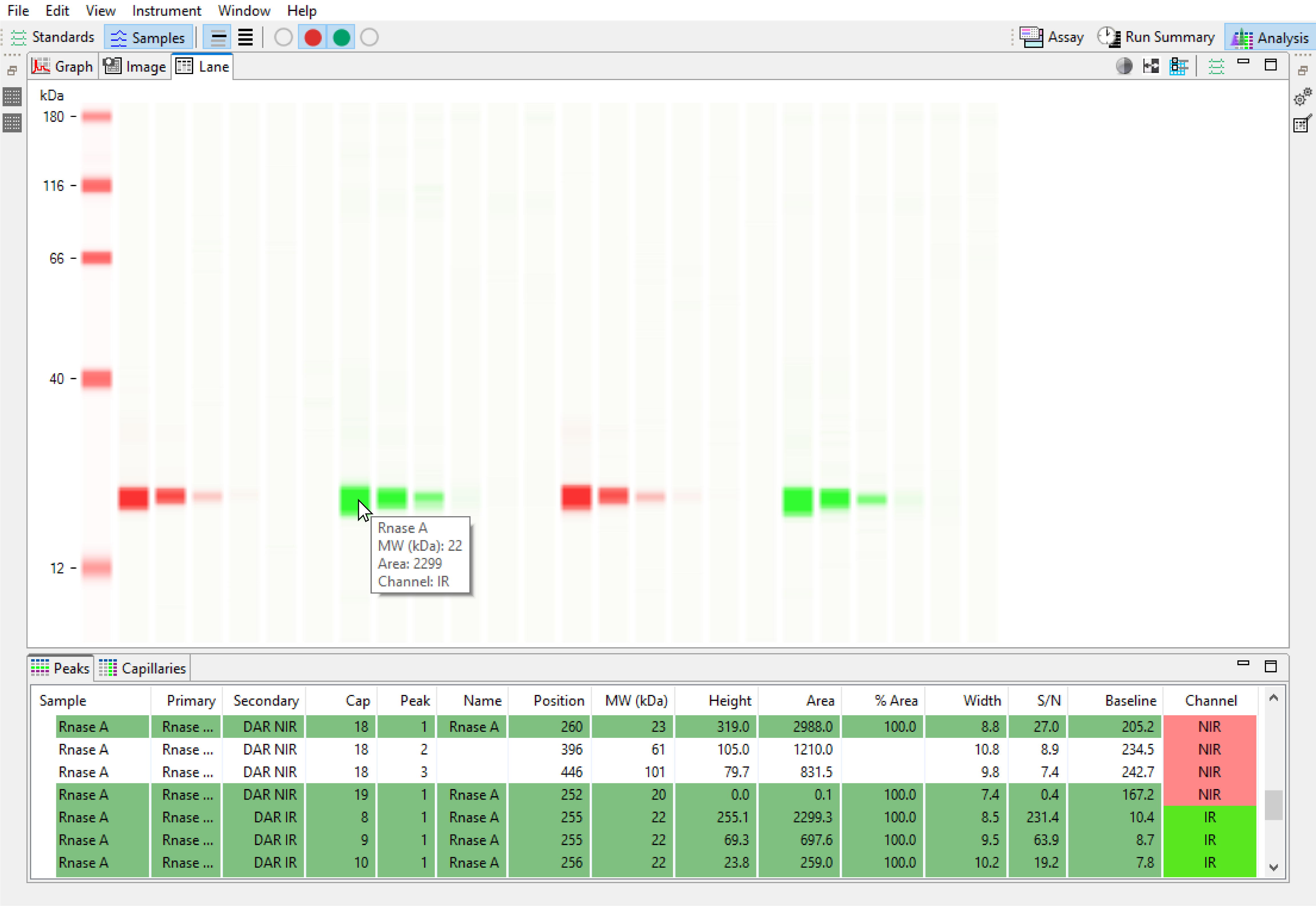 Protein Expression Quantitation