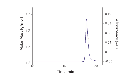 A graph showing size exclusion chromatography multi-angle light scattering data for IFN-gamma  recombinant protein 